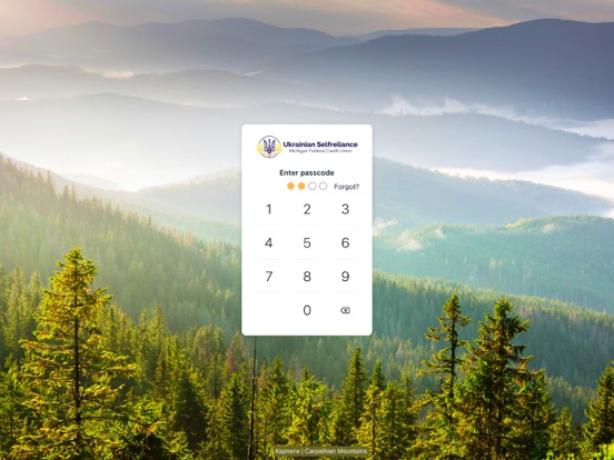 Ukrainian Selfreliance MI iPad screenshot 2 - Finance app