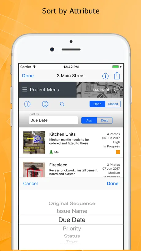 Site Report Pro+ Audit PDF Pro