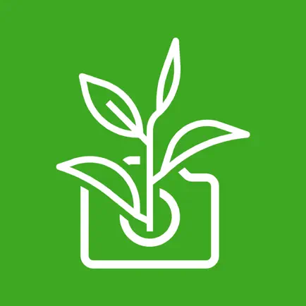 Plantigram Читы