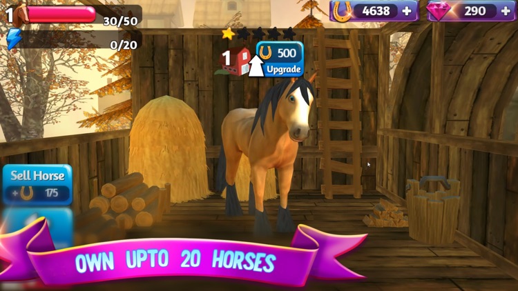 Horse Paradise: My Dream Ranch screenshot-5