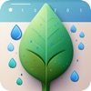 Plants & Water