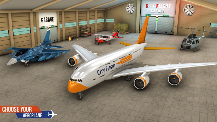 Airplane Pilot Flight: 3D Game