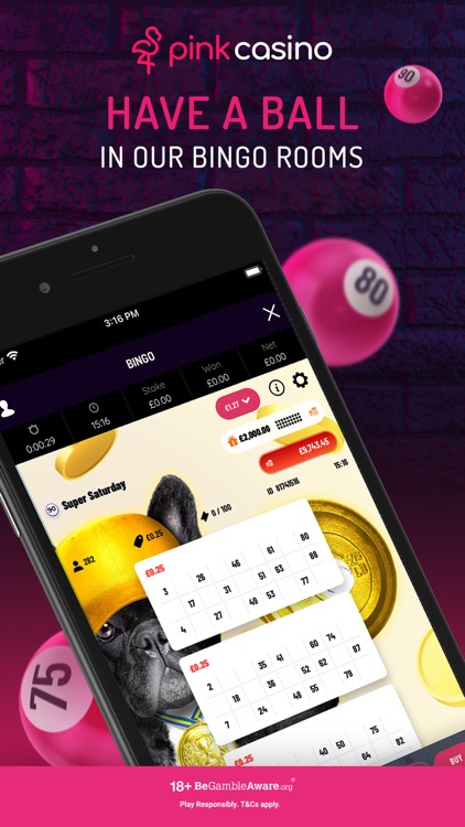 Pink Casino Real Money Slots screenshot-4