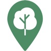 Here Is Green icon