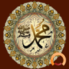 Hadith Collection Pro - Quarter Pi