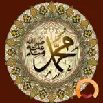Hadith Collection Pro App Contact