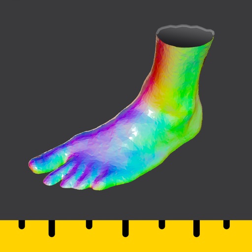 Foot Scan 3D icon