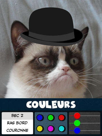 Screenshot #4 pour Autocollants de chapeaux