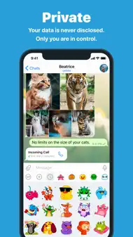Telegram Messenger iphone resimleri 4