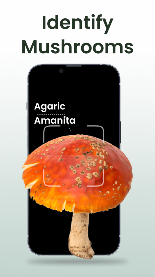 #2. Plant Identifier: Plantiary (iOS) Podle: Plantiary