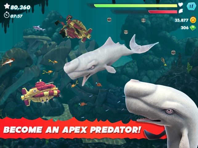 Angry Shark World - Play Angry Shark World Game on