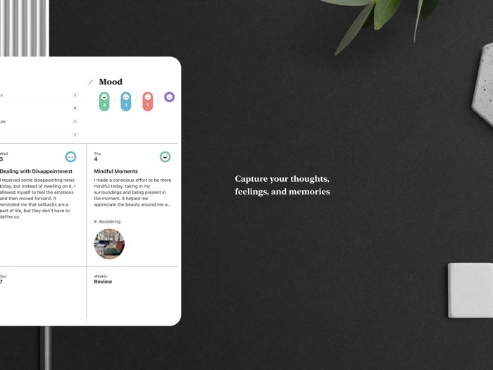 JournalCircle DiaryJournal