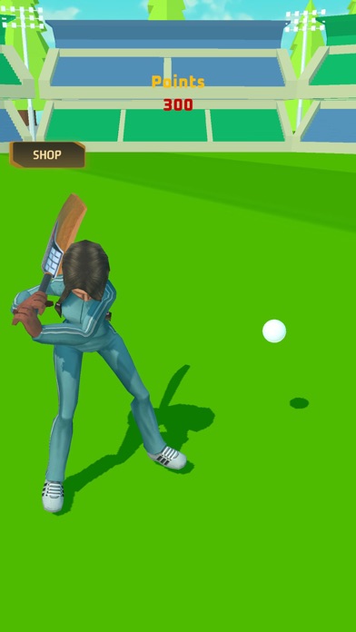 PM Cricket Sports Screenshot
