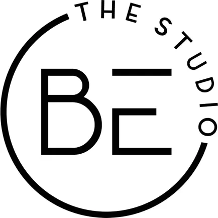 The Studio BE Читы