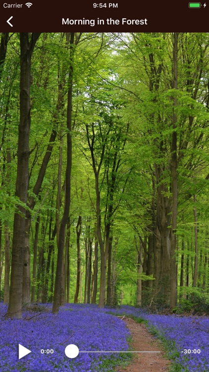 Relaxing Nature Sounds