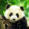 Jigsaw Puzzles - Games icon