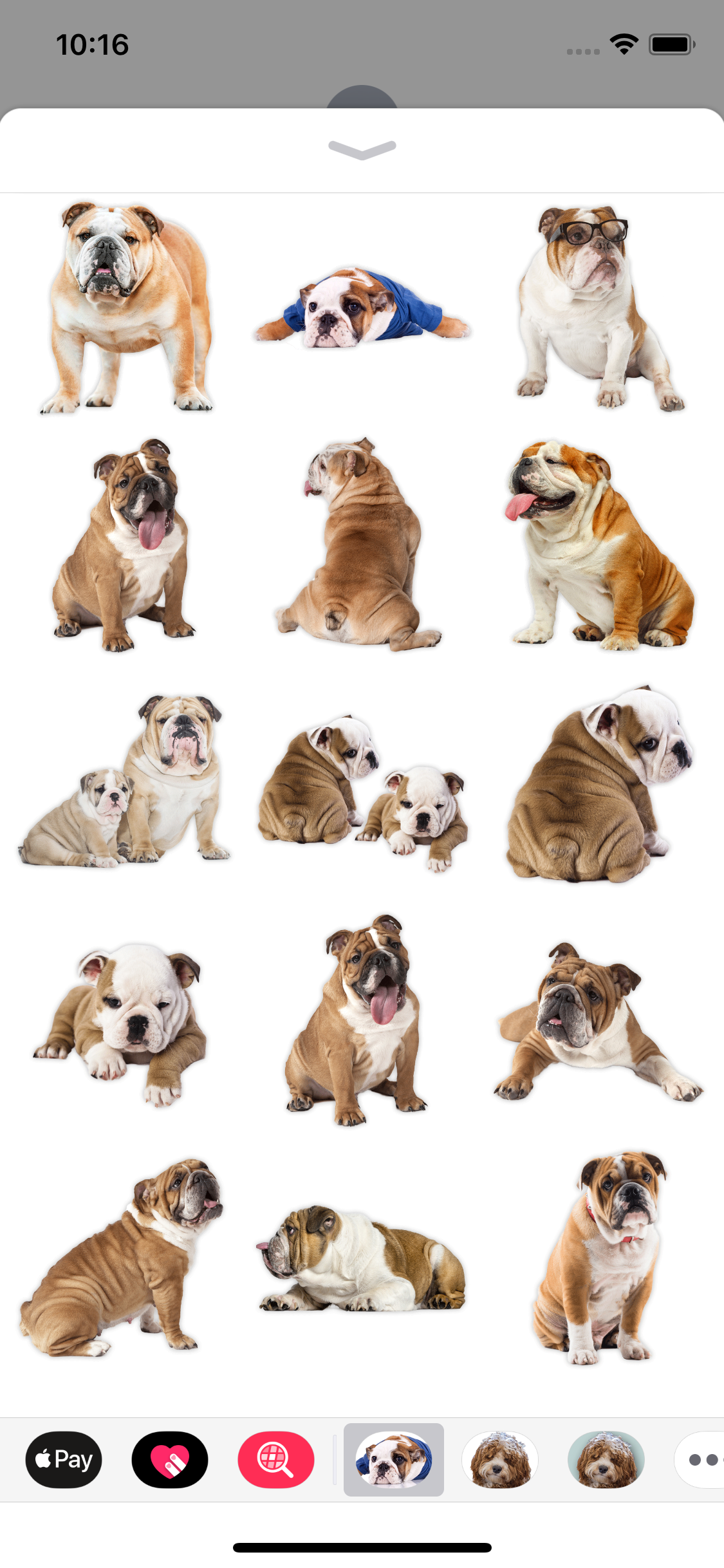 English Bulldog Stickers screenshot 3