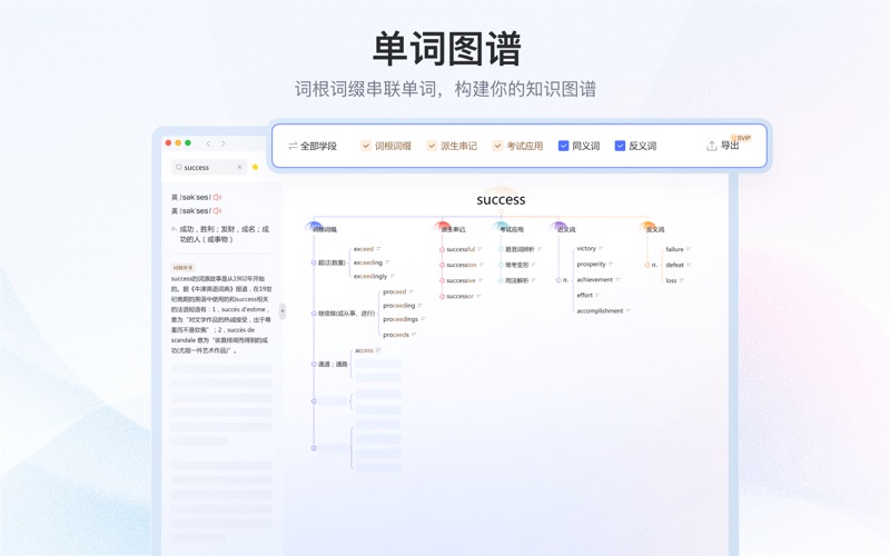 Youdao Translate Screenshot