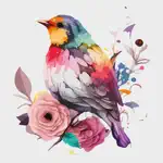 The Watercolor Birds App Contact