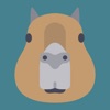 CapyNow icon