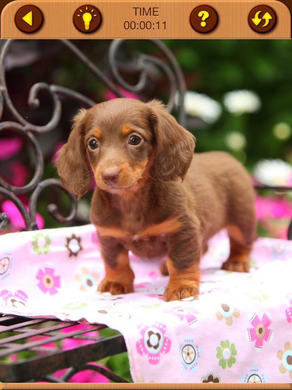 Screenshot #5 for Cute Puppy Jigsaw Puzzle Games