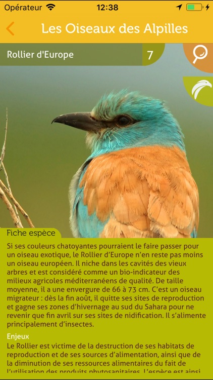 Les oiseaux des Alpilles screenshot-3