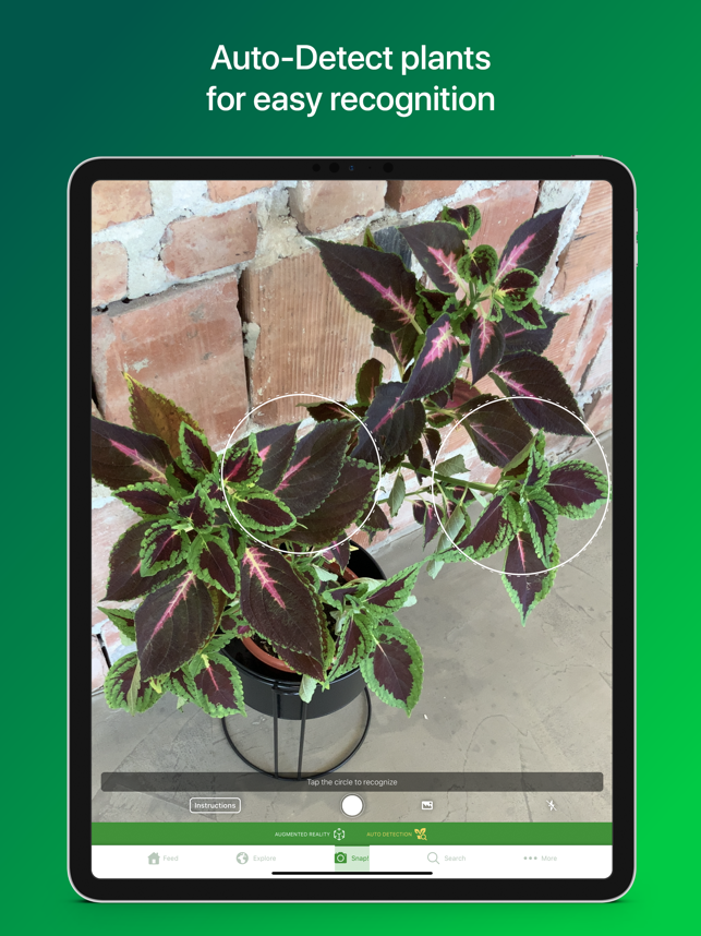 ‎PlantSnap Identificação Planta Screenshot