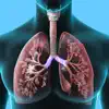 Respiratory System Trivia negative reviews, comments