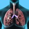 Icon Respiratory System Trivia