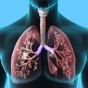 Respiratory System Trivia app download