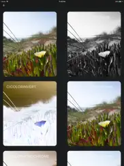 livert ipad images 1