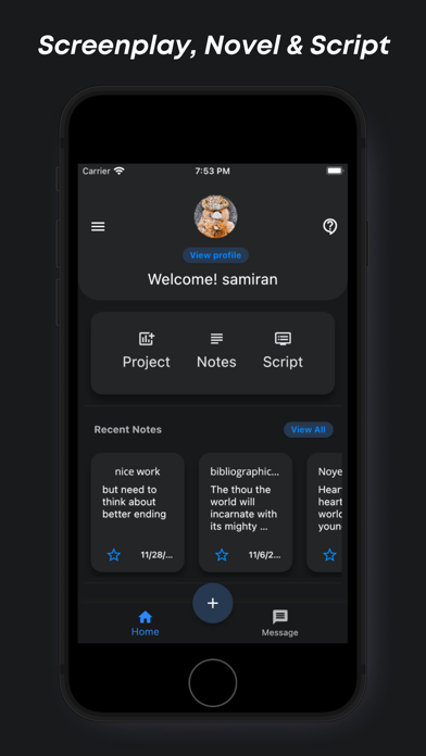Studiovity - Film Screenplay Screenshot
