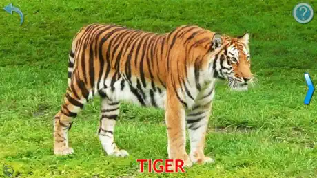 Animals for Kids, toddler game