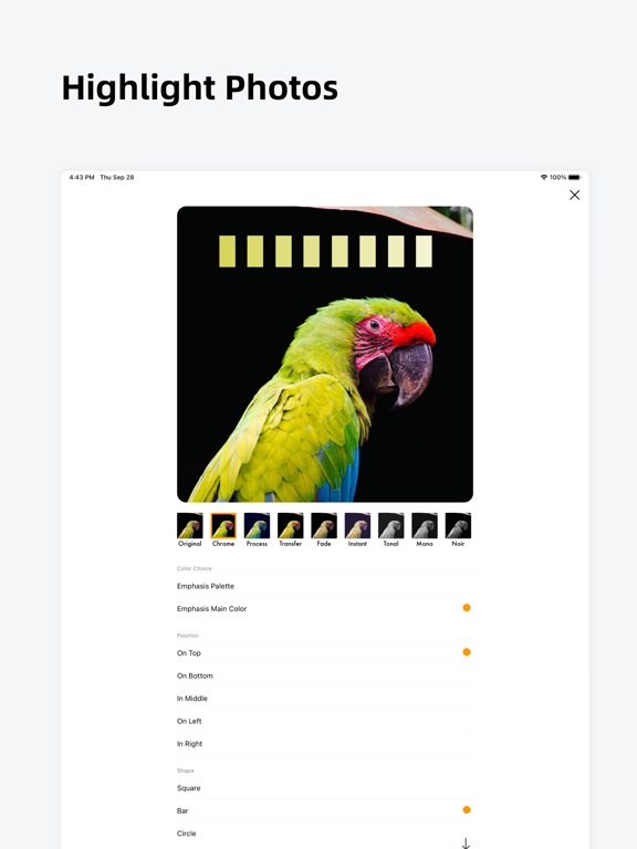 ColorCard: Palette Tool iPad screenshot 7 - Reference app