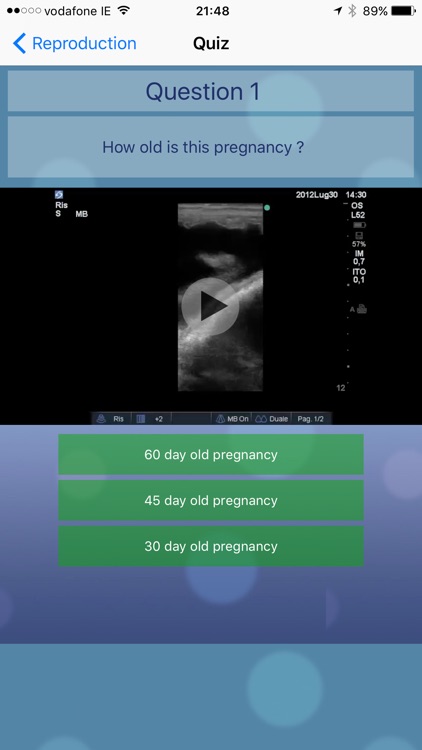 Equine Reproductive Ultrasound