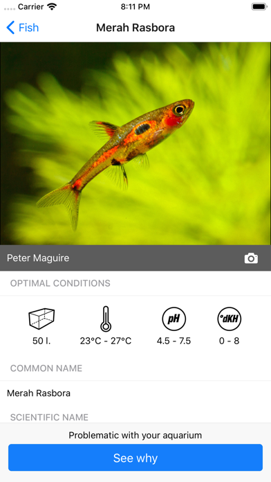 Aquareka Screenshot