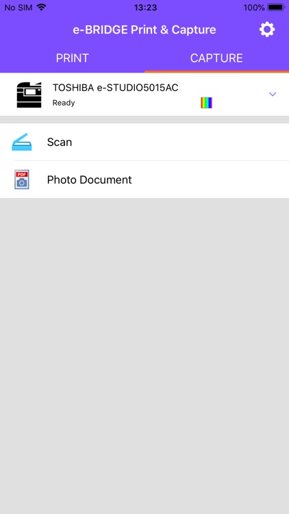 e-BRIDGE Print & Capture