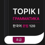 Download TOPIK I 문법 Грамматика app
