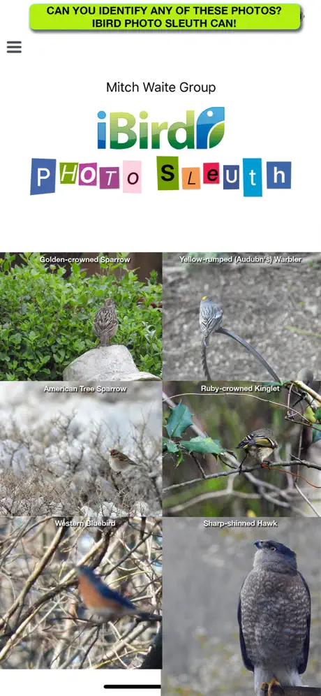 iBird Photo Sleuth