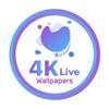 Live HD Wallpaper-photo editor icon