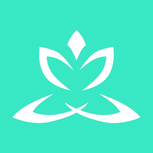 Zen Timer Pro