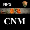 CNM WildFlowers icon