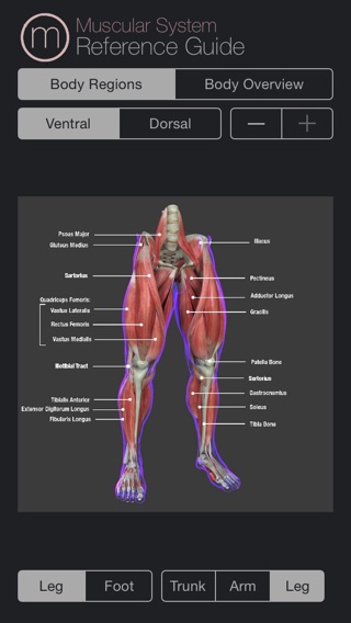 Muscle Study Guide Packのおすすめ画像3