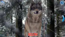 Животные для Детей, Малышей 1+ айфон картинки 2