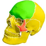 Skull Bones Easy Anatomy App Alternatives