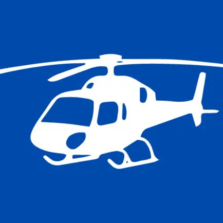 Helicopter Ground School Читы