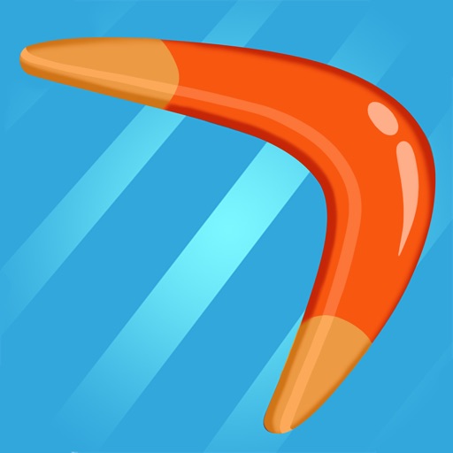 Boomerang Run 3D icon