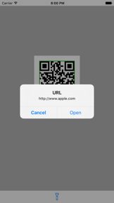 QR Code Reader - Pro screenshot