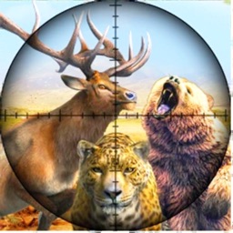 Wild Animal Hunting Clash 2024