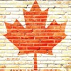 Happy Canadian Citizen icon
